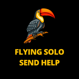 FLYING SOLO: SEND HELP